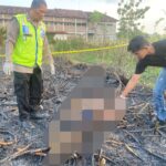Petani di Wedarijaksa Meninggal Dunia Terbakar Saat Membakar selamper tebu, Polisi Ingatkan Keselamatan Kerja