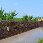 DPUTR Pati Bidang SDA Terjunkan Alat Berat Bersihkan Sungai Bago di Kecamatan Margoyoso